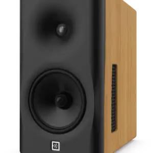 Dutch & Dutch 8c Black Natural (Pair) for home audio and speaker systems