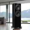 Fyne Audio F704SP (Special Production) Loudspeaker Launched at High End